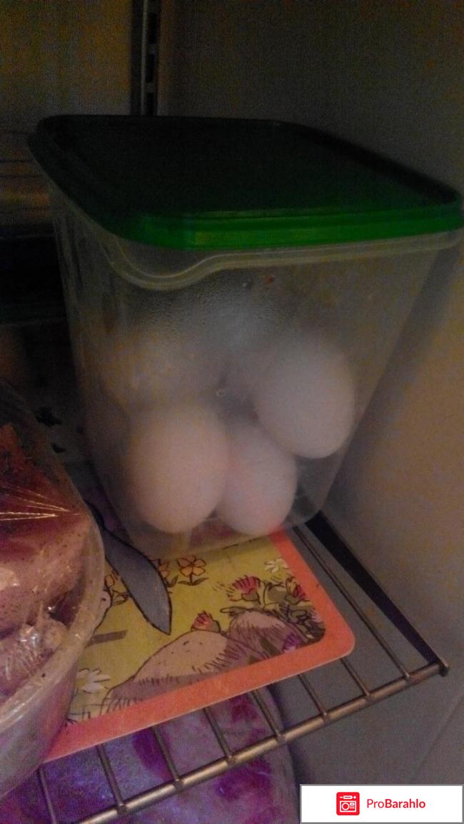 Прута реальные отзывы