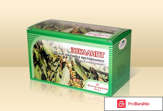 Эвкалипт прутьевидный лист - лечение ангины 