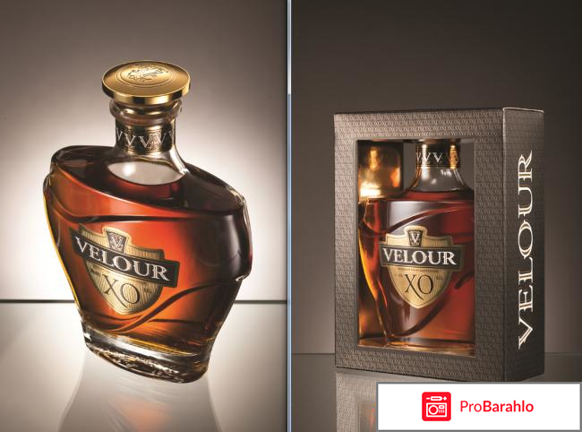Коньяк velour xo отзывы отрицательные отзывы