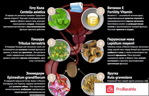 Аденофрин развод или нет отрицательные отзывы