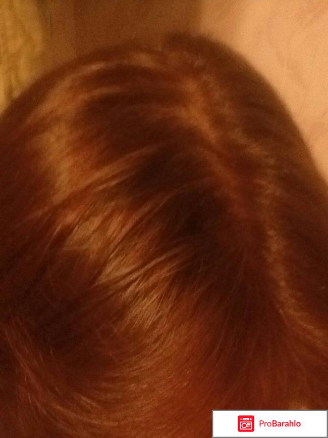 Краска для волос Syoss Oleo Intense реальные отзывы