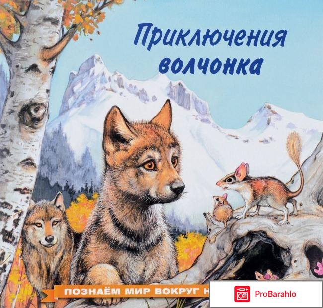 Книга  Приключения волчонка 