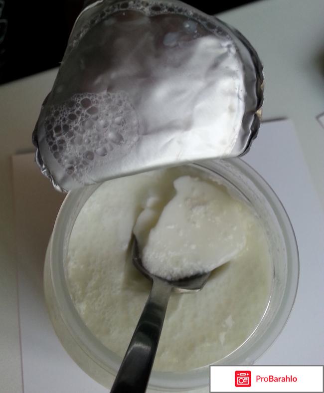 Йогурт Danone Термостатный густой 1,5% обман