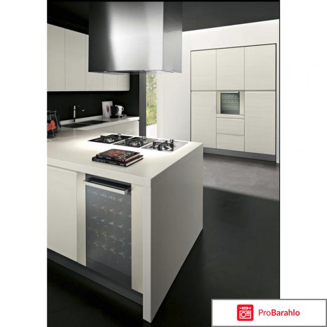 Встраиваемый винный шкаф Indel B Built-In 36 Homme Plus отрицательные отзывы