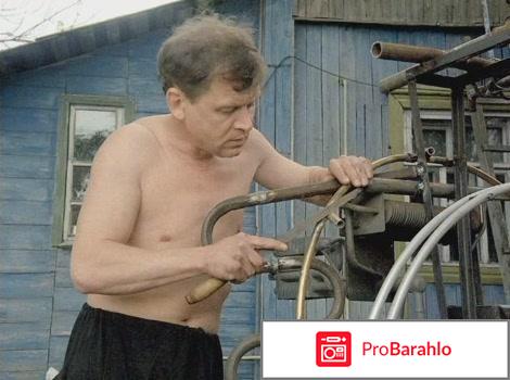 Ёлки палки реальные отзывы