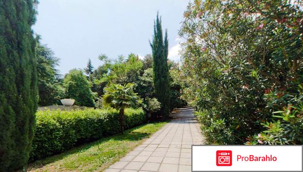 Крым партенит пансионат крым