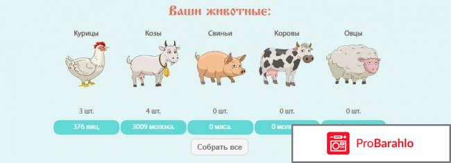 Сайт kolhoz.net отрицательные отзывы