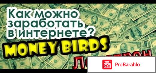 Money birds отзывы отрицательные отзывы