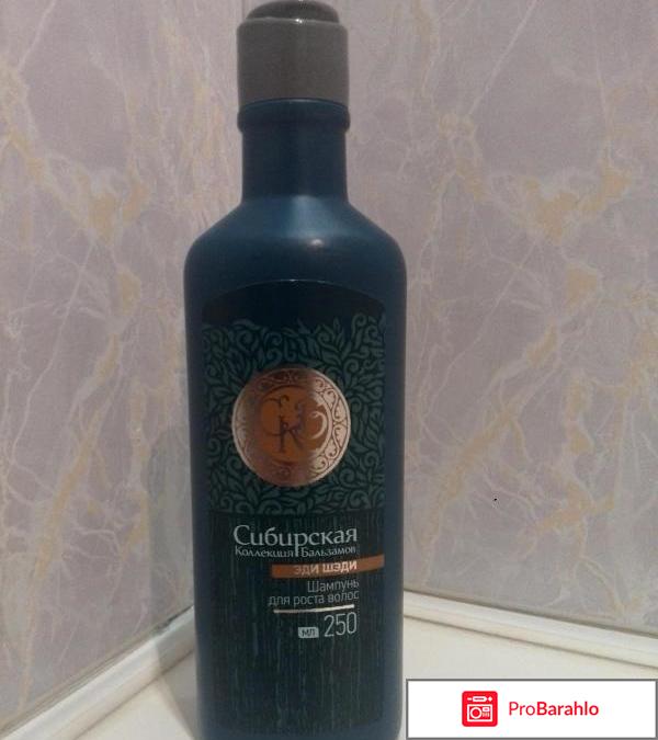 Шампунь сибирское здоровье отзывы 