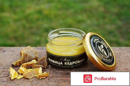 Живица кедровая на льняном масле обман