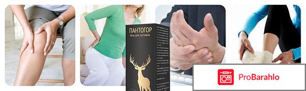 Пантогор гель купить 