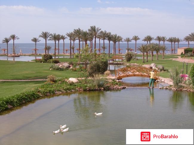 Отель Movenpick Resort Taba***** (Мовенпик Таба*****) обман