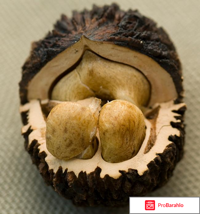 Юглон медиков обман