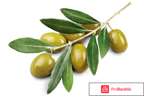 Шампунь Shampooing Doux Corine de Farme обман