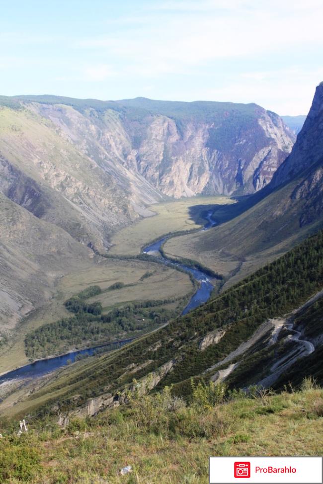 Отдых на алтае