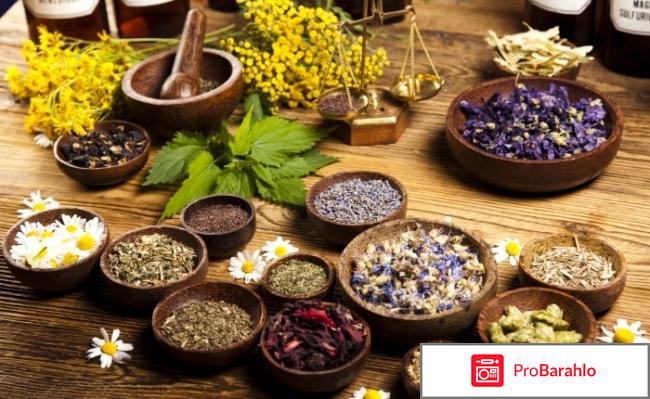 Сбор от курения реальные отзывы