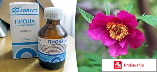 Настойка пиона отзывы людей отрицательные отзывы