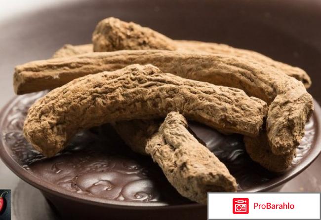 Кыст аль хинди отзывы отрицательные отрицательные отзывы