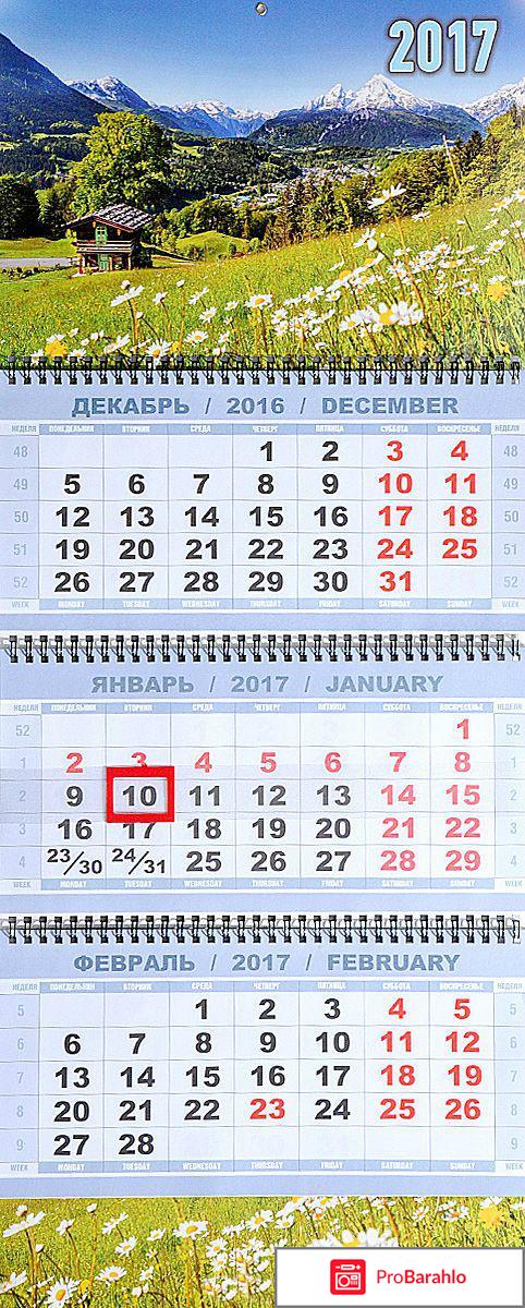 Книга  Календарь 2016-2017 (на спирали). Горы с ромашками 