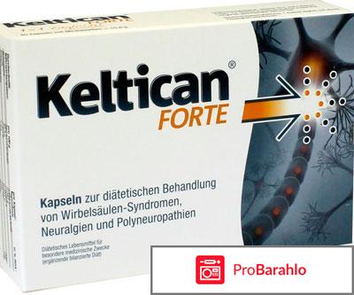Келтикан инструкция по применению цена отзывы аналоги отрицательные отзывы
