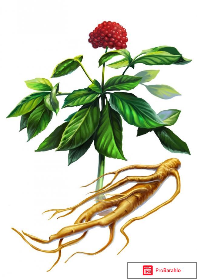 Какое средство для потенции самое эффективное обман