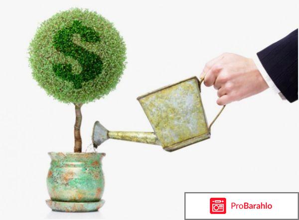 Как инвестировать в сайты? обман