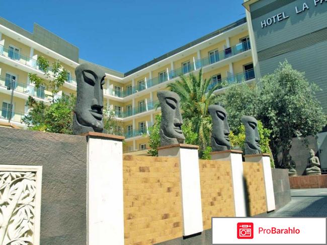 Палмеро отрицательные отзывы