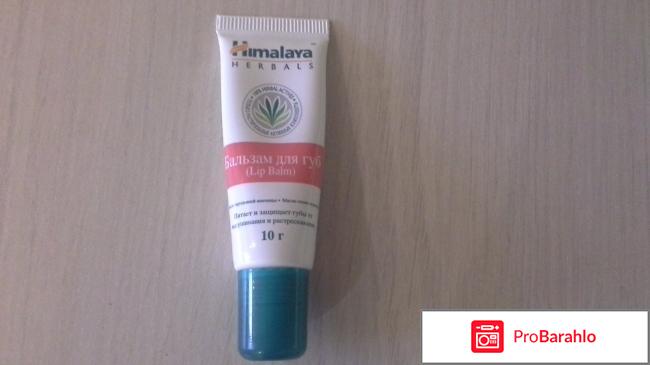 Бальзам для губ Himalaya herbals 