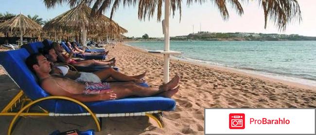 Hilton sharm dreams resort отрицательные отзывы