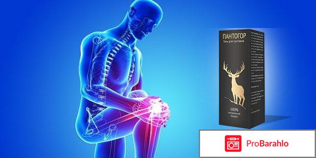Пантогор для суставов обман