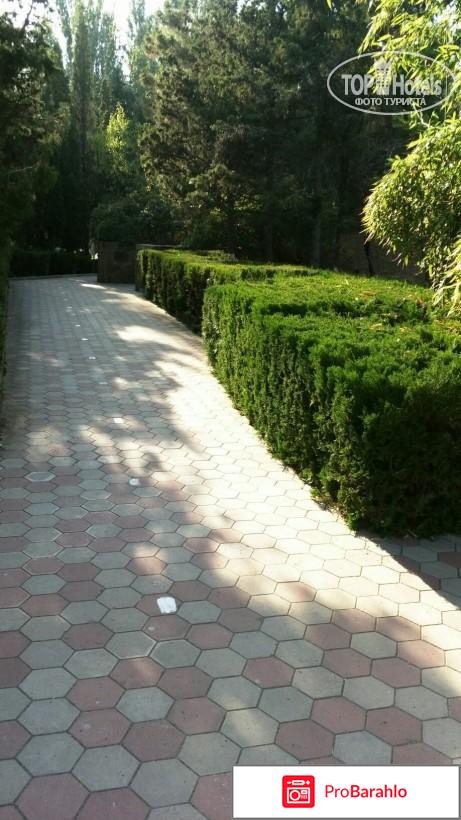 Ток судак отдыхающих 2017 фото