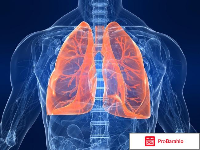 Мила левчук отрицательные отзывы 