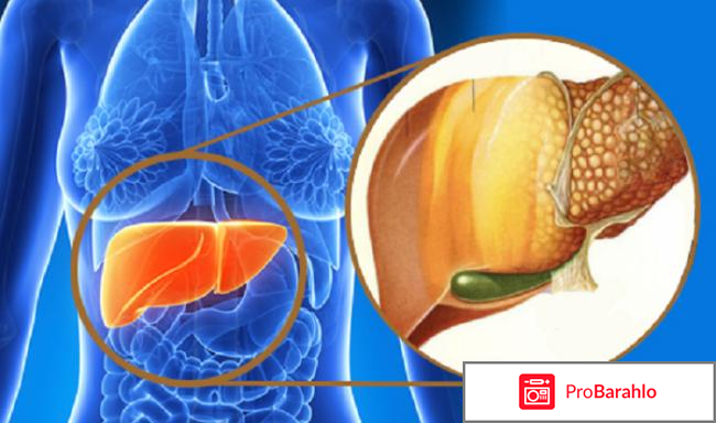 Ливесил обман