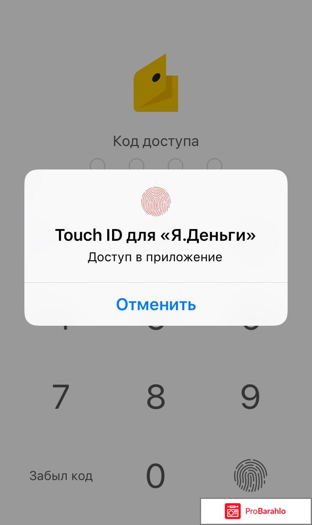 Платежная система Яндекс.Деньги обман