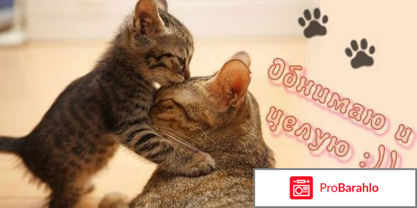 Оригинальный подарок на день матери фото