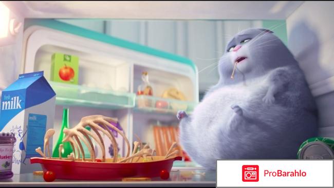 Тайная жизнь домашних животных реальные отзывы