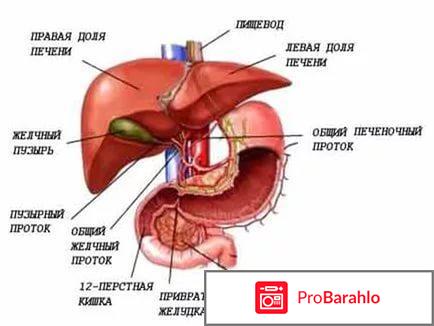 Холосас инструкция по применению цена аналоги обман