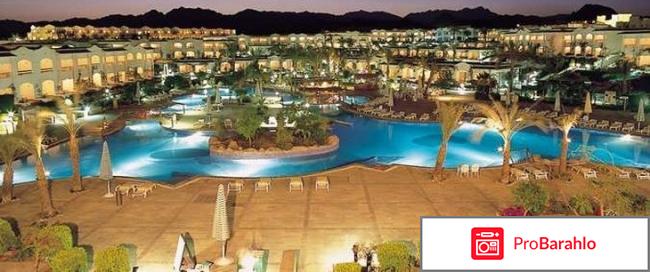 Hilton sharm dreams resort 