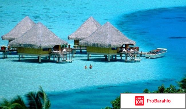 Доминикана 2016 