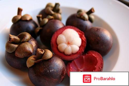 Mangosteen цена 