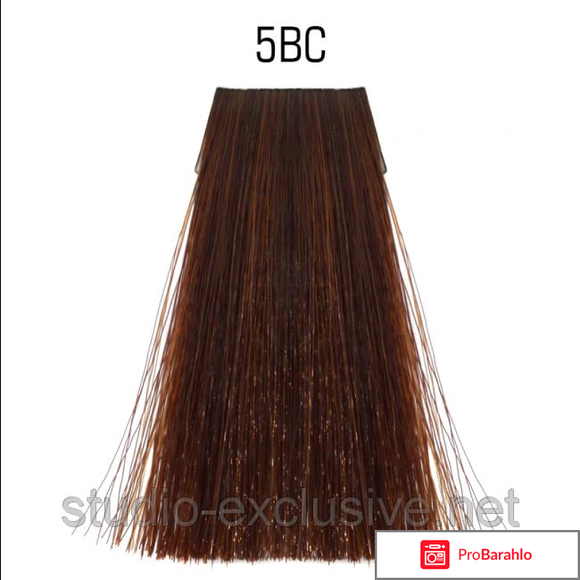 Краска для волос шоколад отзывы отрицательные отзывы