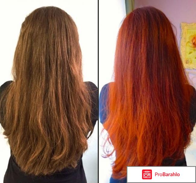 изображение Краска капус отзывы с фото реальные отзывы