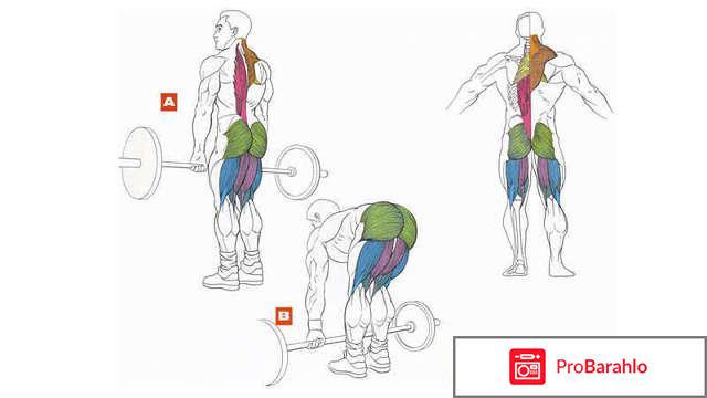 Как правильно делать становую тягу 