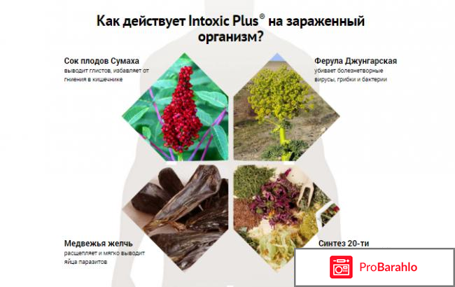 Препарат интоксик отзывы врачей реальные отзывы