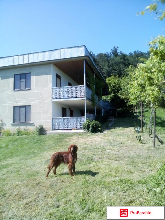 Лдзаа частный сектор