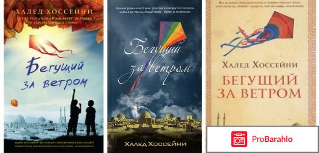 Книга  Бегущий за ветром отрицательные отзывы