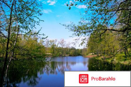 Воздвиженское парк отель официальный сайт 