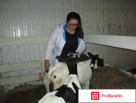 Асд 2 фракция отзывы врачей 