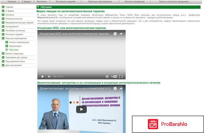 Арнебия обман