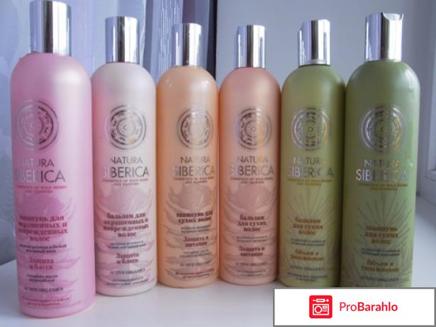 Шампуни сиберика отрицательные отзывы